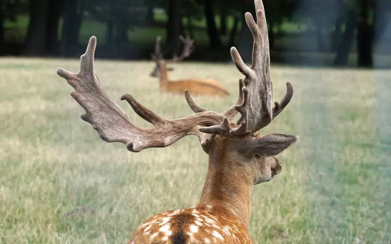 想让你的相亲事半功倍吗？看这里！