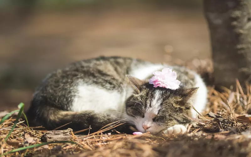 感情相处，真的只是始于才华陷于颜值吗？