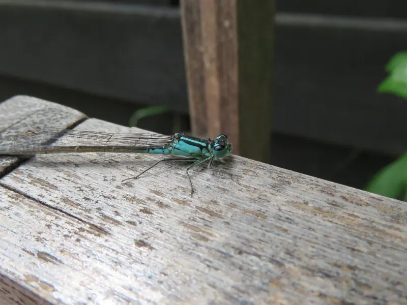 分手之后他还这样对你？那么一定还在想你！