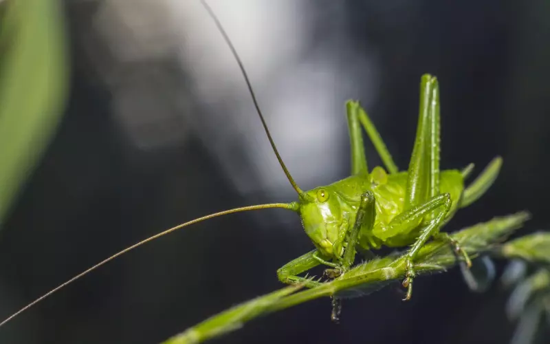 不安全感导致婚姻不幸？其实是缺乏安全感时用的方式所致