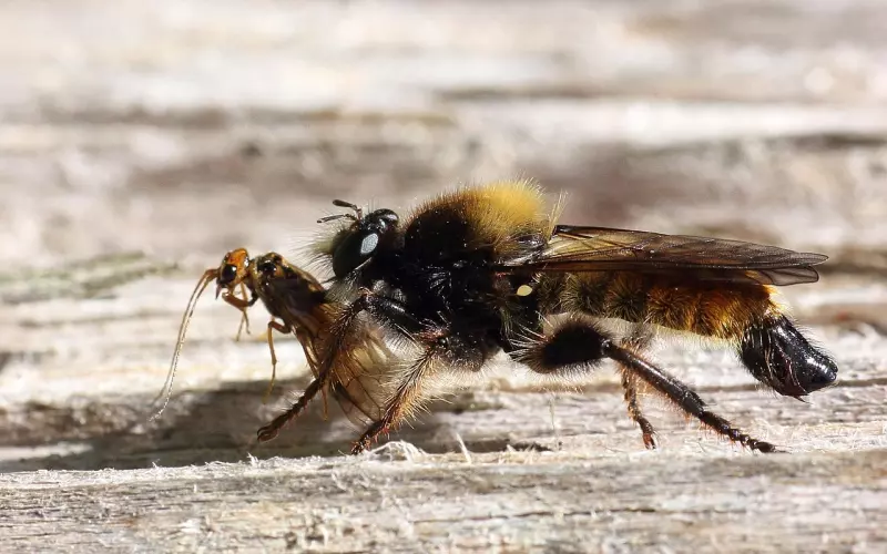 “女强男弱”非要这样下去吗？