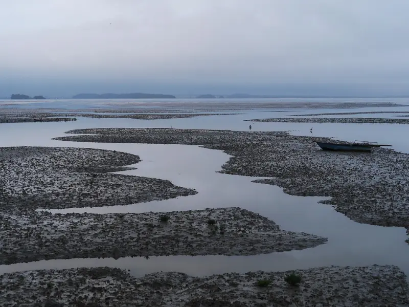 前男友总是不回你信息？遇到这种情况得这样挽回！