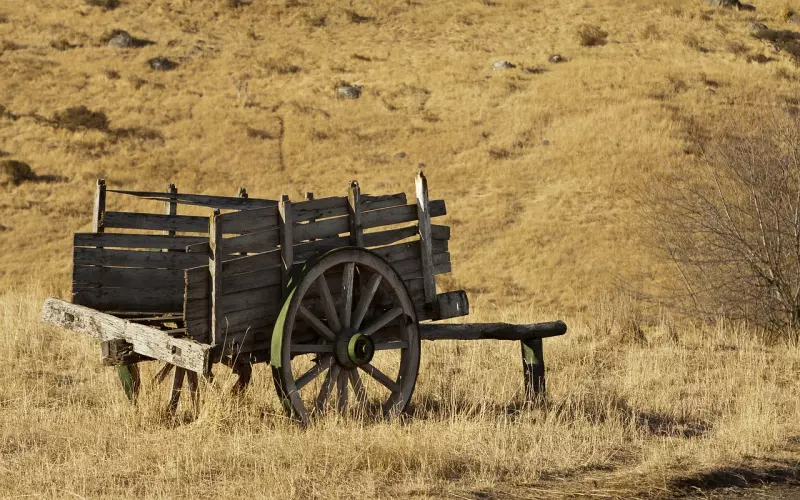 前任总是不回消息？学会这样跟他聊天，保证他不再抵触你