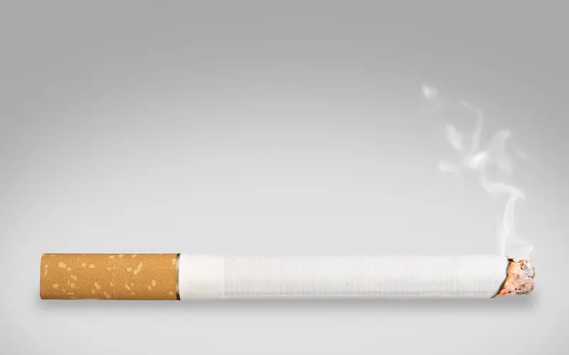 狗不能喂的太饱，人不能对的太好