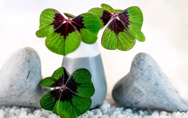 挽回爱情做到这四点让你魅力倍增