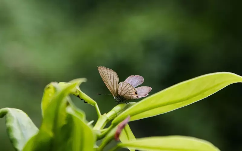 东莞情感咨询：跟男友热恋期间竟然发生这种事？