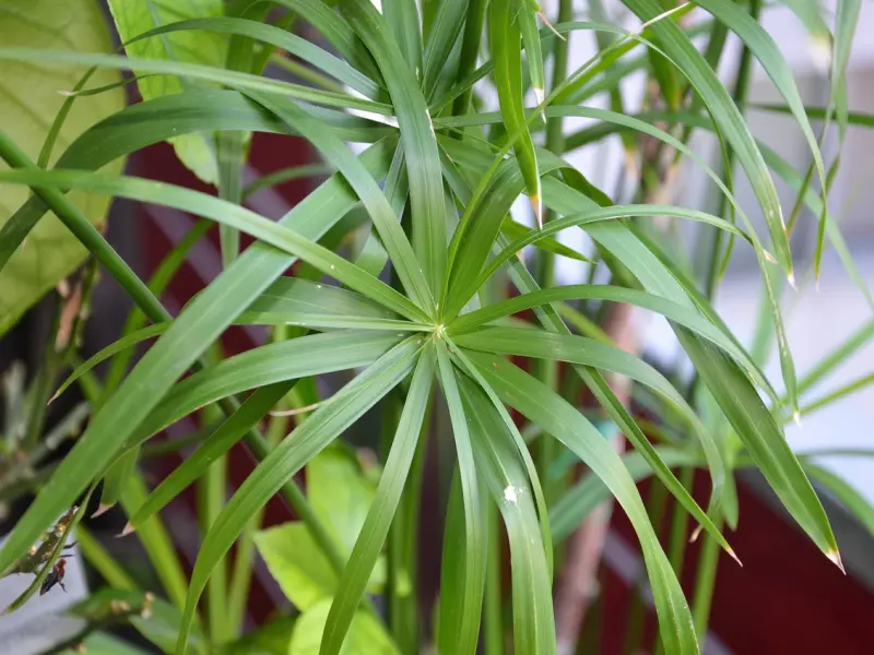 “不要总是抱怨前任的无情，事情会这样是因为你自己”