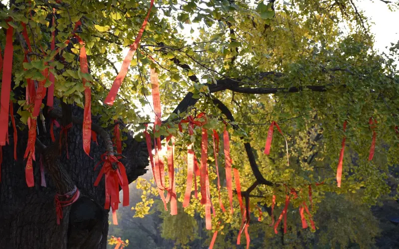 不求尽如人意，但求无愧于心！