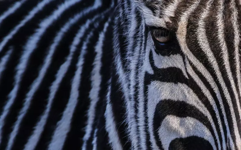 拉黑不要怕，挽回有方法！