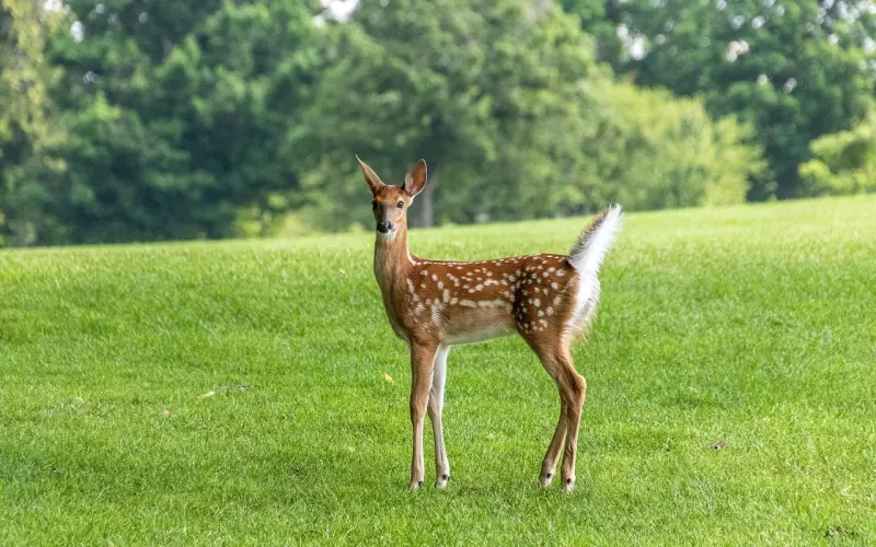 这三种情况的挽回千万不可以着急，否则会吃力不讨好