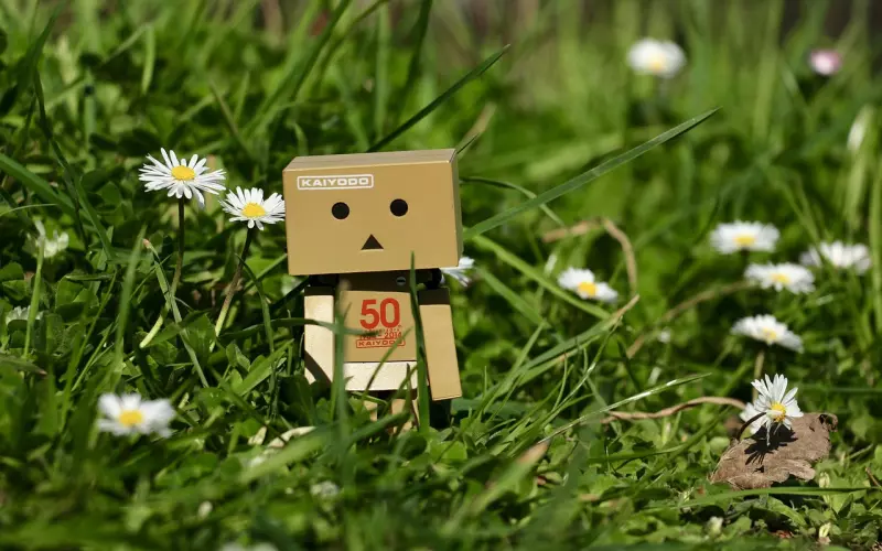 挽回不迷茫，先清醒了在去挽回爱情