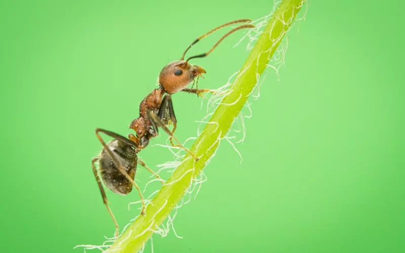 分手不要伤害!男女分手注意这些小细节