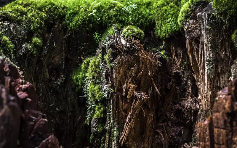 挽回切忌死缠烂打