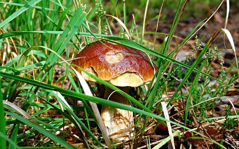 别傻了!这些只是男人分手时惯用的借口