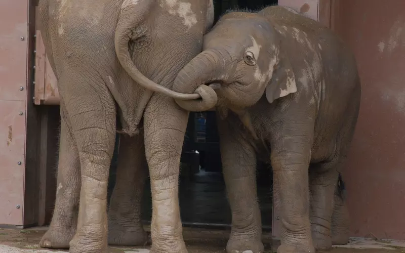 “别对任何人太好”（经典）