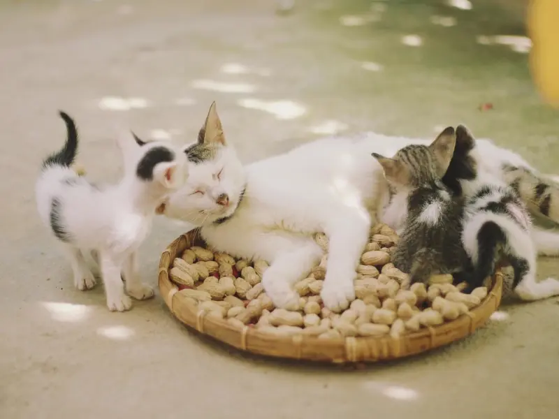 不哀求不挽留，做好这点男人会主动挽回你！