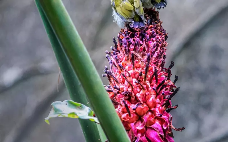 久旱时间长的女人，就会有这样藏不住的小动作，别不信