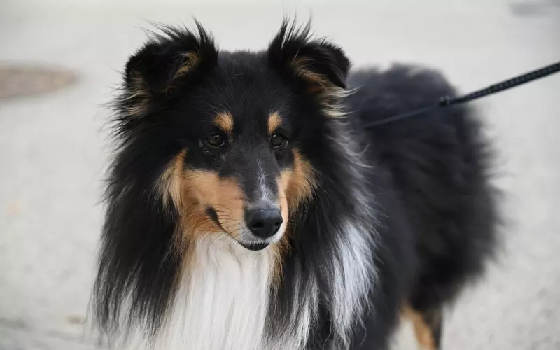 活着别在意！（写得真好）