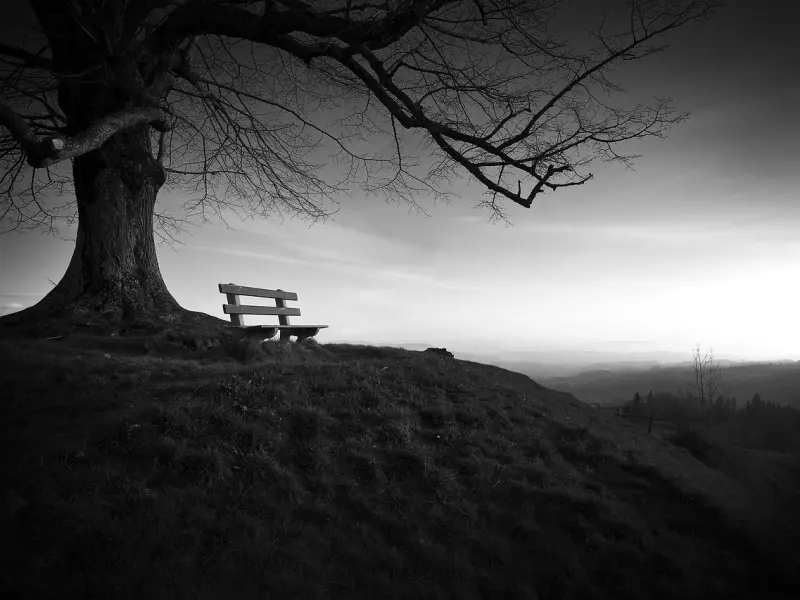 入睡前不要和这三种人聊天，会出大事，尤其在最孤独的时候！