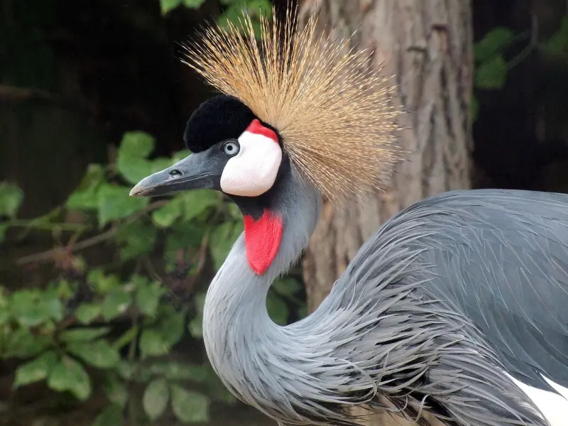 别嫌弃离过婚的女人，她们有你想不到的这3个优点