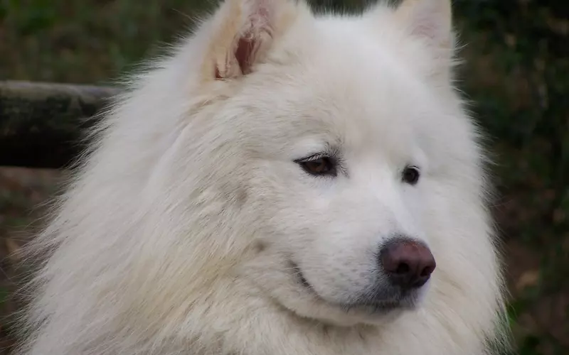 挽回男友不要做这3件事，否则他只会更想分手！