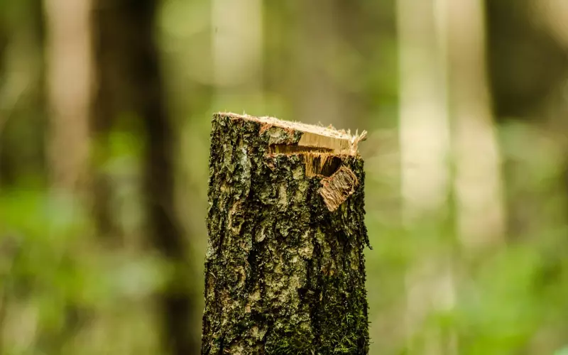 傻姑娘被分手千万别这么做，他们不在乎的！