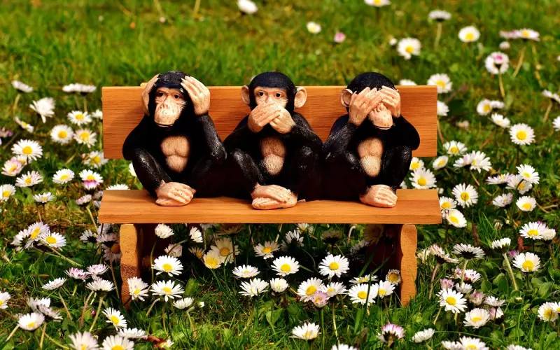 “喝酒三不吃”,“酒后三不喝”