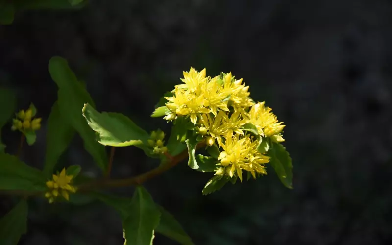 分手后千万别陷入5个误区，尤其是第一个！