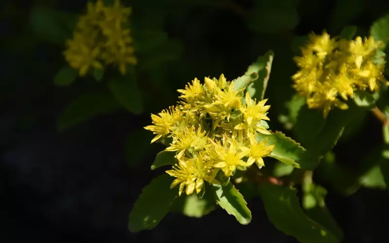 分手后千万别陷入5个误区，尤其是第一个！