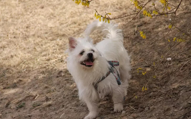 不要强迫男友丢前任的东西