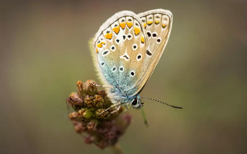 分手不要纠缠，学会做淡定的女人！