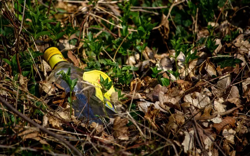 人不可走太近，心不可看太透