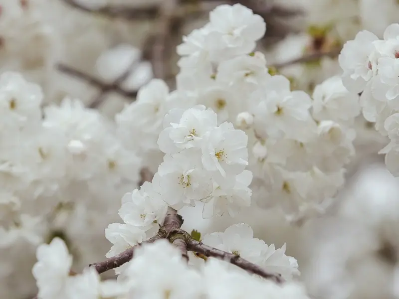 挽回爱情不要无底线