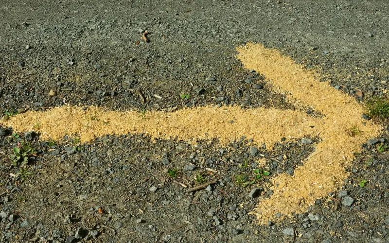 不要伤害一个对你好的人