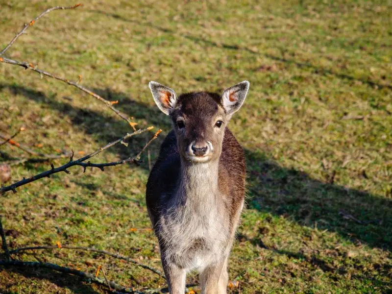 没做好这件事之前，别去提升自己的魅力