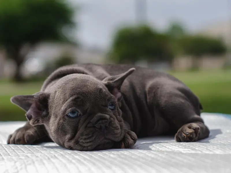 不知道和喜欢的妹子怎么聊天？教你这三招！