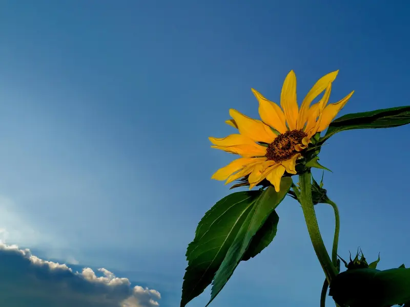 不知道如何挽回前男友？情感专家教你三招搞定