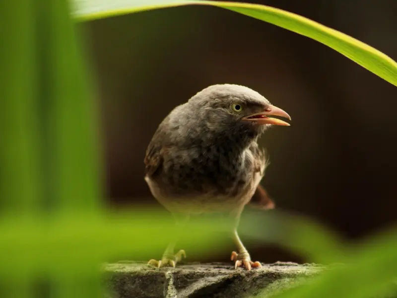 别让分手以假乱真