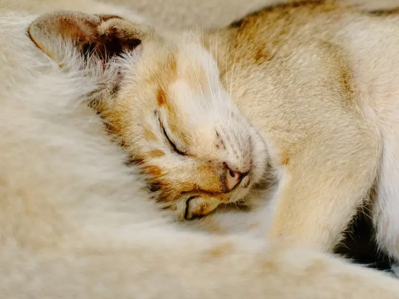 别让纯真的感情，败给成见