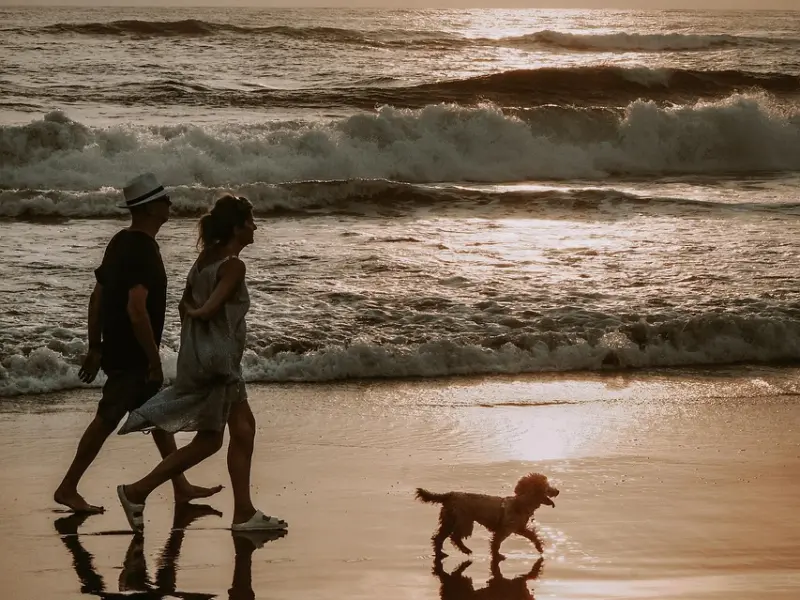 不喜欢妈宝男？一招就让他对你有求必应！