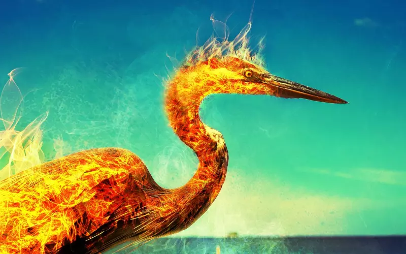 别找凤凰男做伴侣 不信你来看看这个