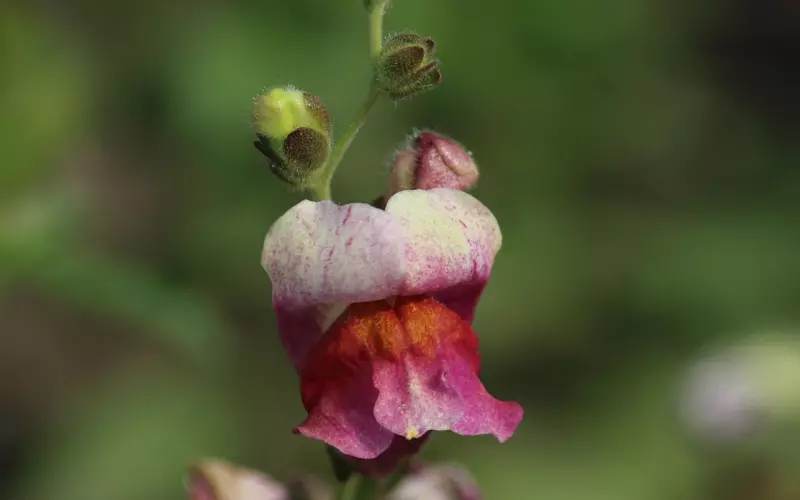 不要弄丢，一个对你好的人。