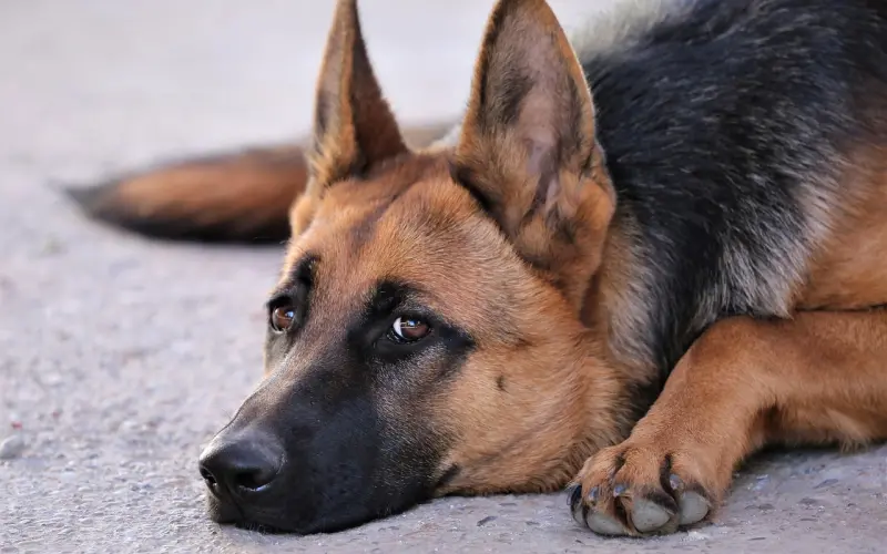 【别错过身边那个等你挽留的人】