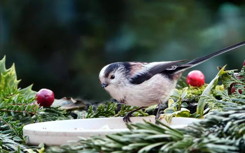 ?别开错了窗户（ 非常经典）