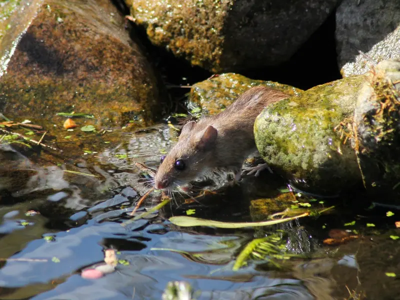 挽回中不要这样宠男人，学着这样搁置，他才会来找你