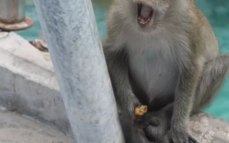 挽回对方不要急于求成，要稳中求胜