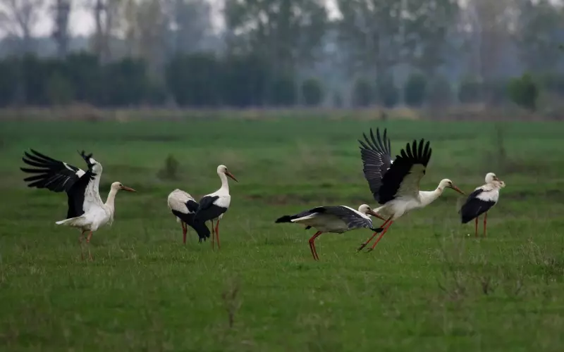 别急着说分手！分手前想清楚3个问题