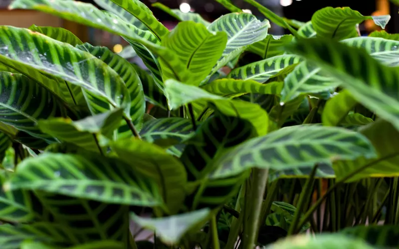 找不出分手原因别挽回爱情