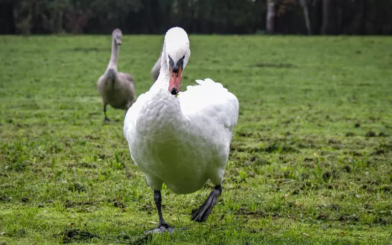 别当爱情成了压抑他的枷锁，逼走了他才想起挽回