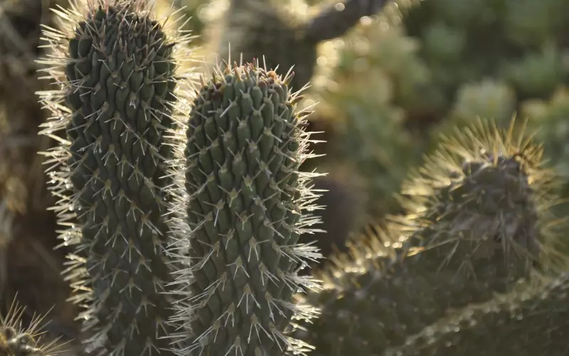 不要用“轻生”去吓唬对方来挽回婚姻感情！——那样只会让问题更严重！